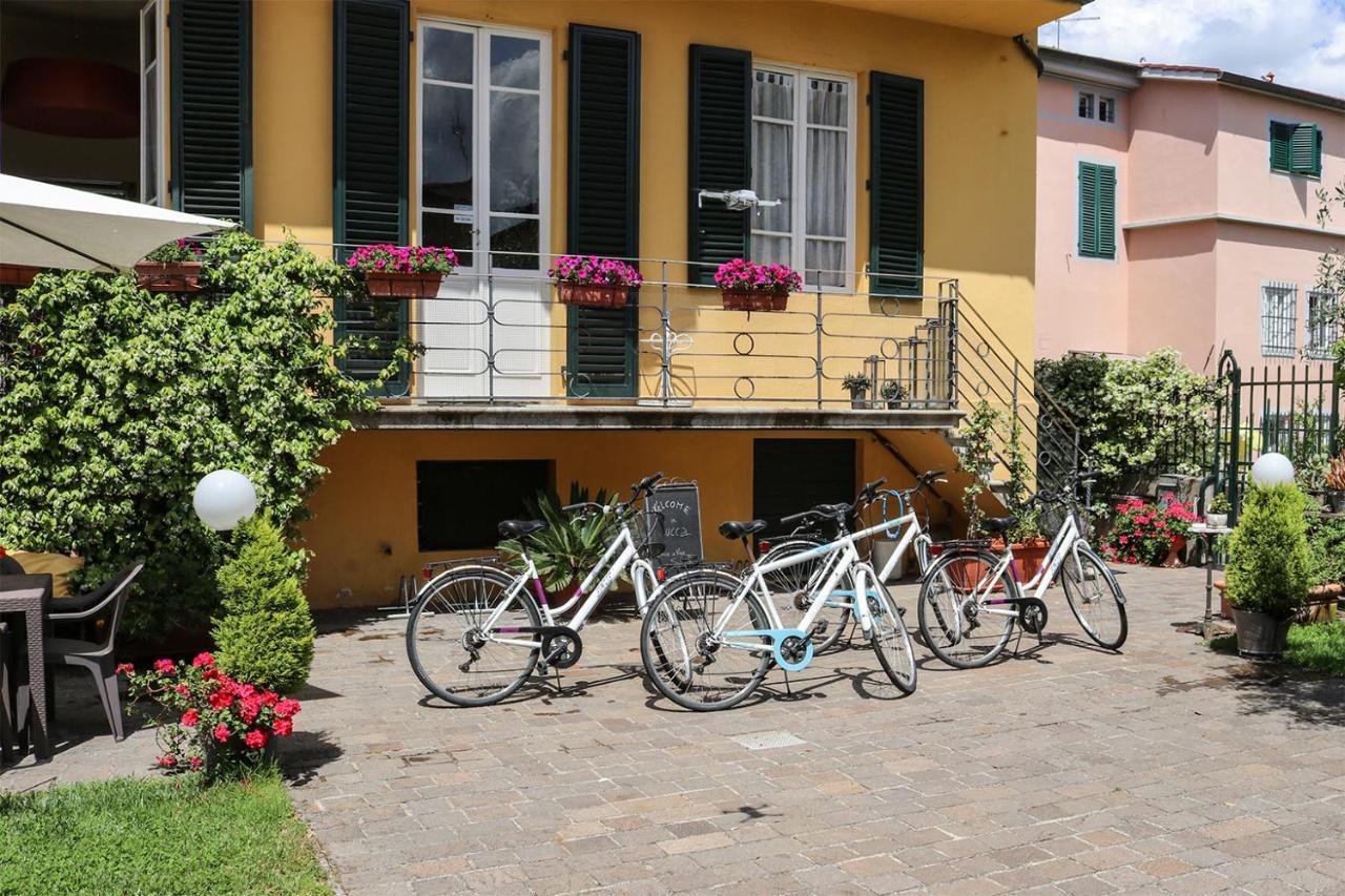 Villa San Donato B&B Лука Екстериор снимка